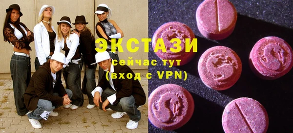 ECSTASY Бородино